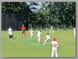 IMG_4638