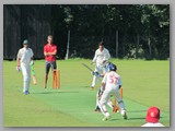 IMG_4710